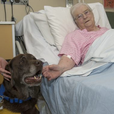 Rocco’s visits provide a welcome distraction to patients like Josephine Murphy.