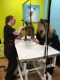 Bullivant Media